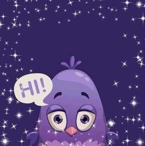 Meet your Posher, Rita